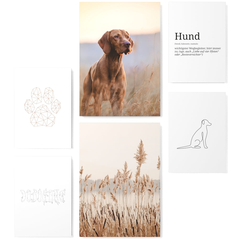 Mood Poster Set Hund