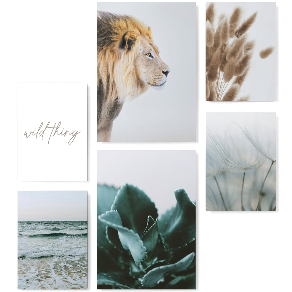 Mood Poster Set Pampas Wild