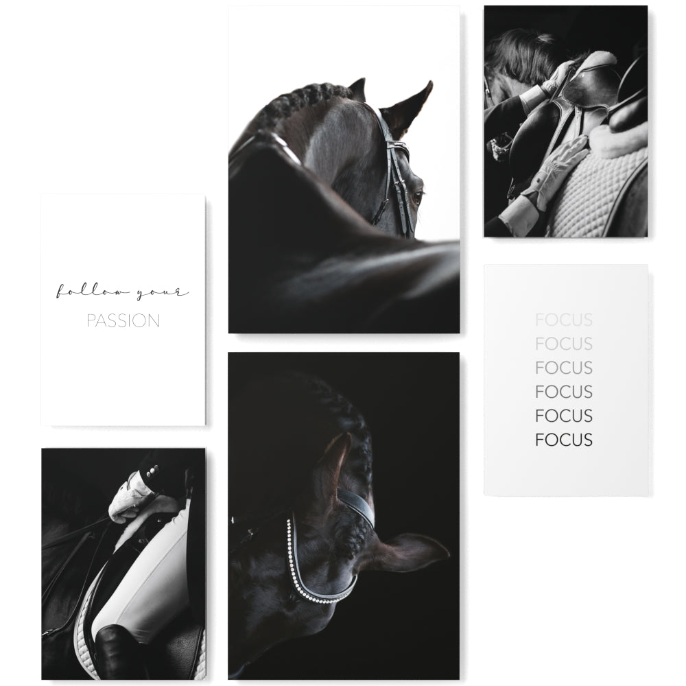 Mood Poster Set Reitsport