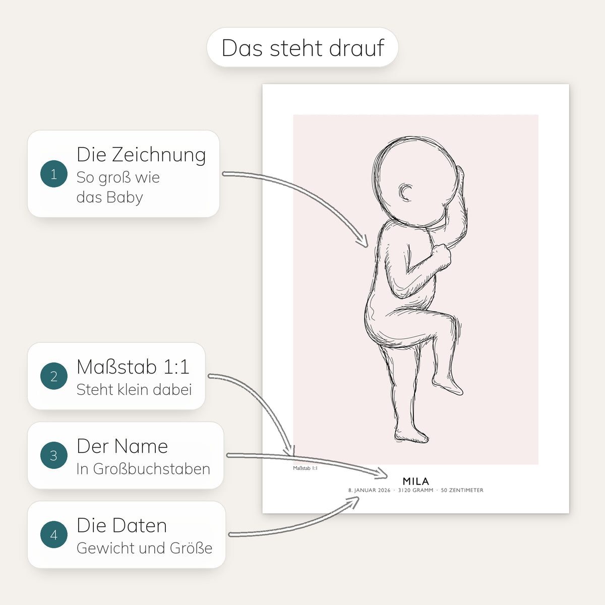 Geburtsposter von Mila mit Erklärungen: Zeichnung in Originalgröße, Maßstab 1:1, Name in Großbuchstaben, Datum, Gewicht und Größe